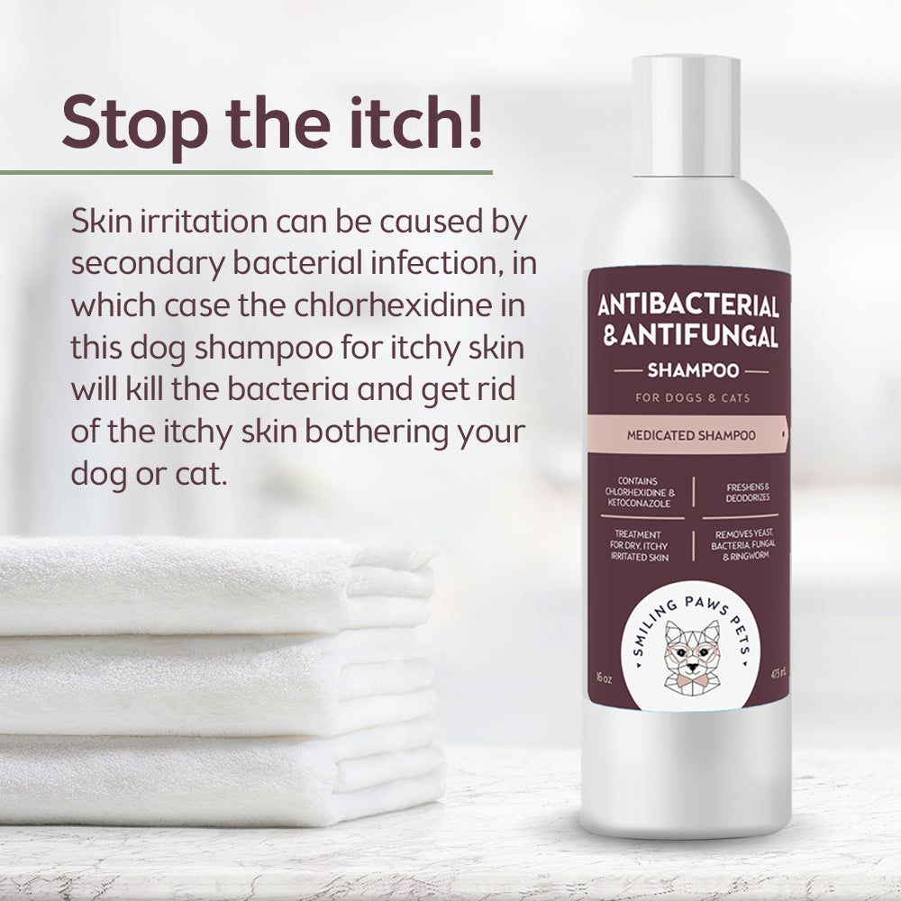 antibacterial and antifungal dog shampoo