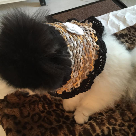Shanna Olson Ms California 2014 pic for Myknitt Dog Clothes