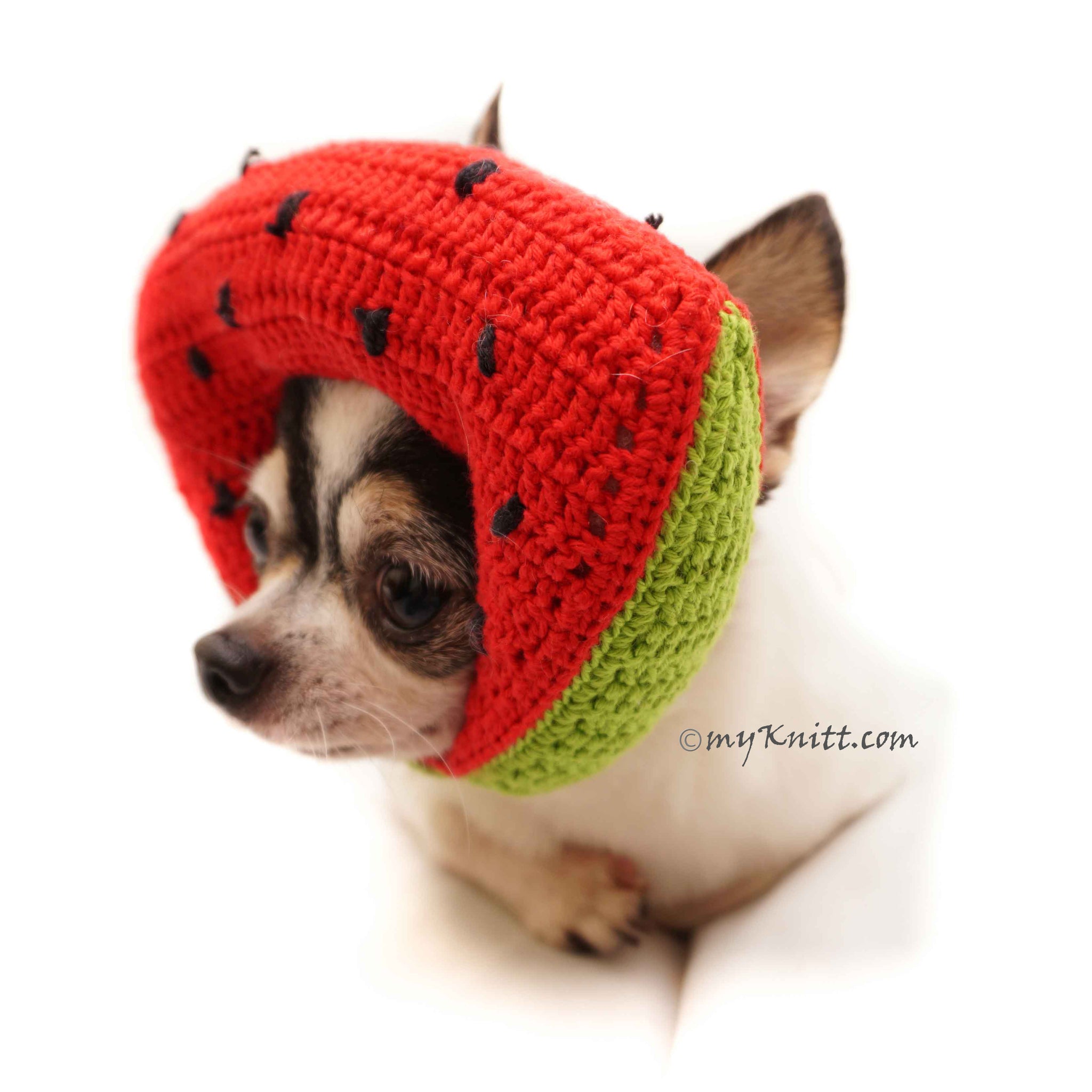 watermelon dog hat