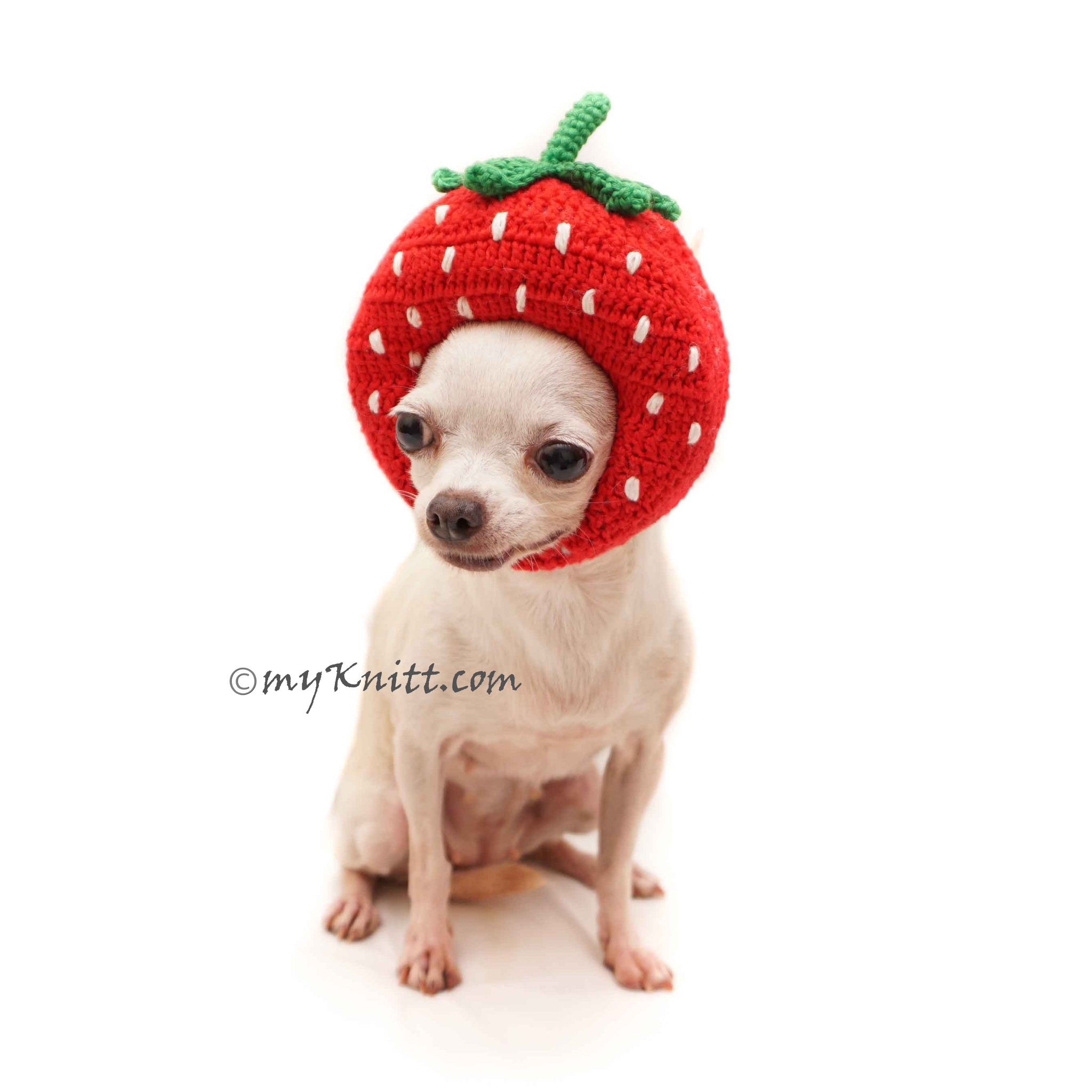 can you give a dog a strawberry