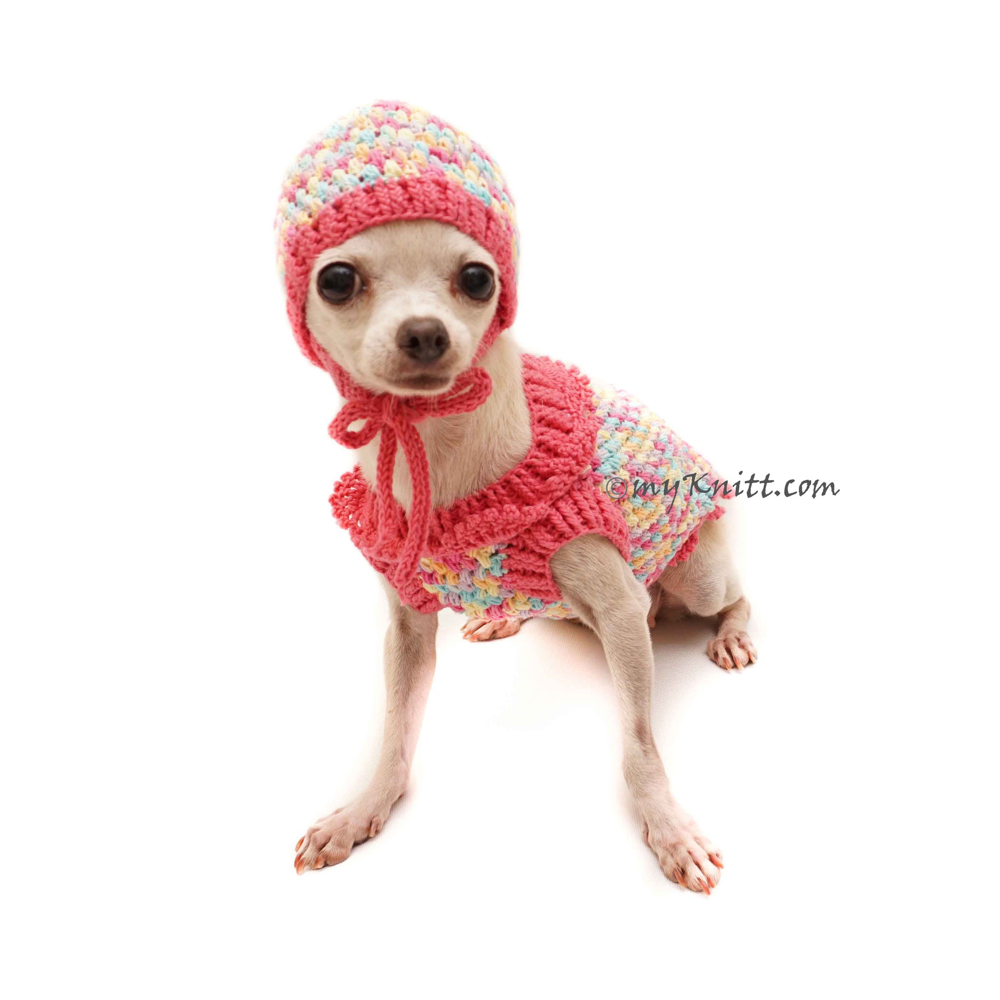 Cute Pink Rainbow Dog Winter Clothes with Knit Dog Hats by Myknitt ...