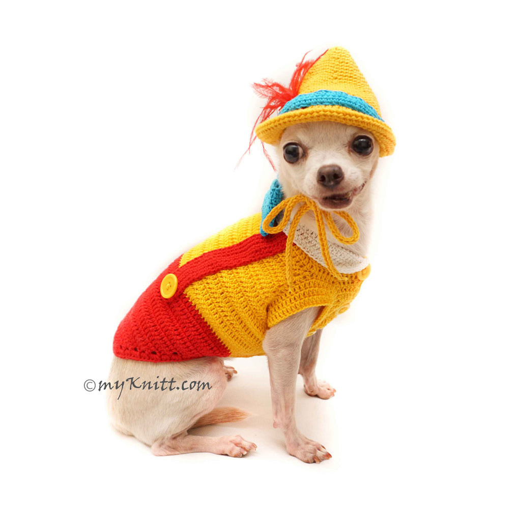 disney dog clothes