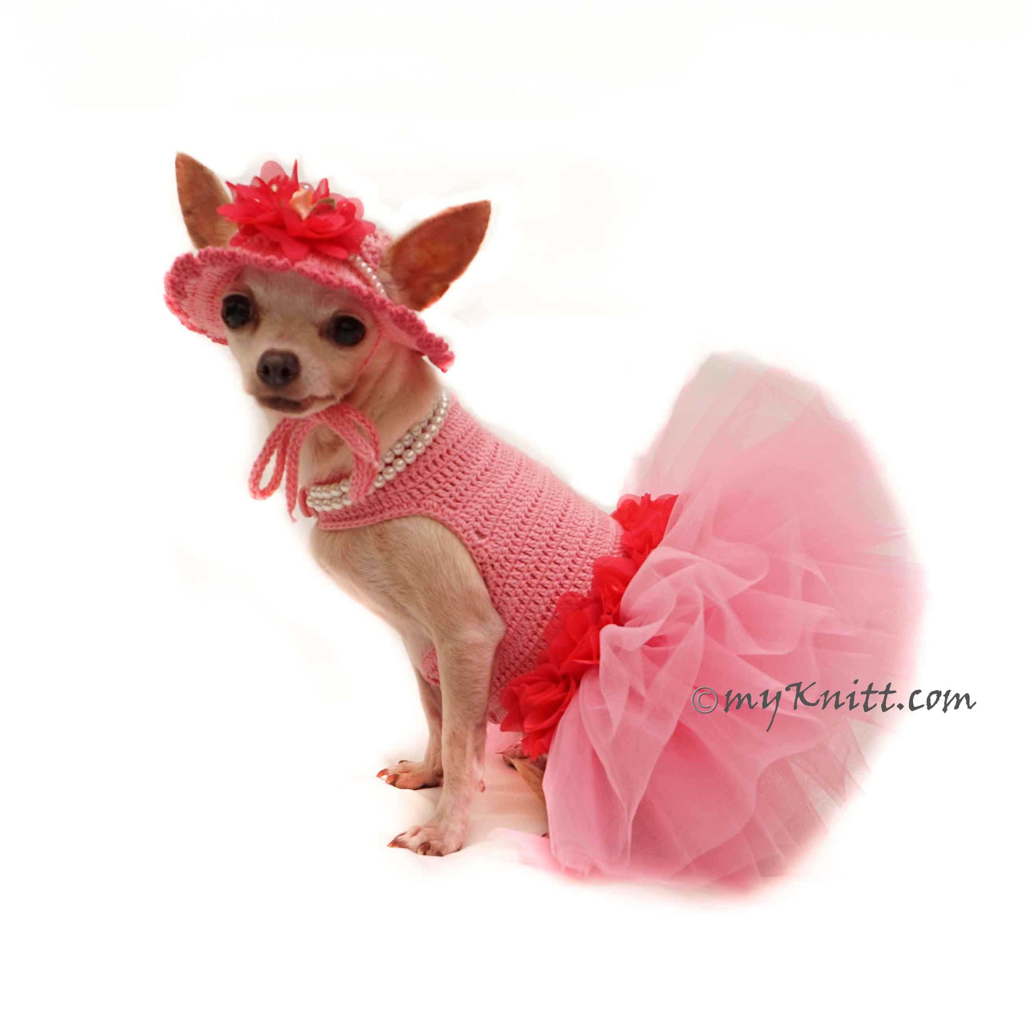 pink ladies dog jacket