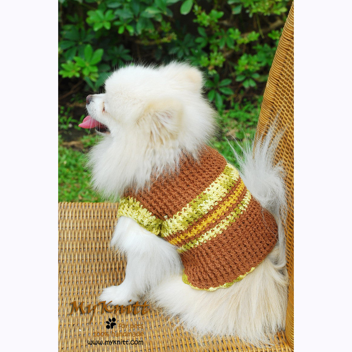 warm dog sweaters