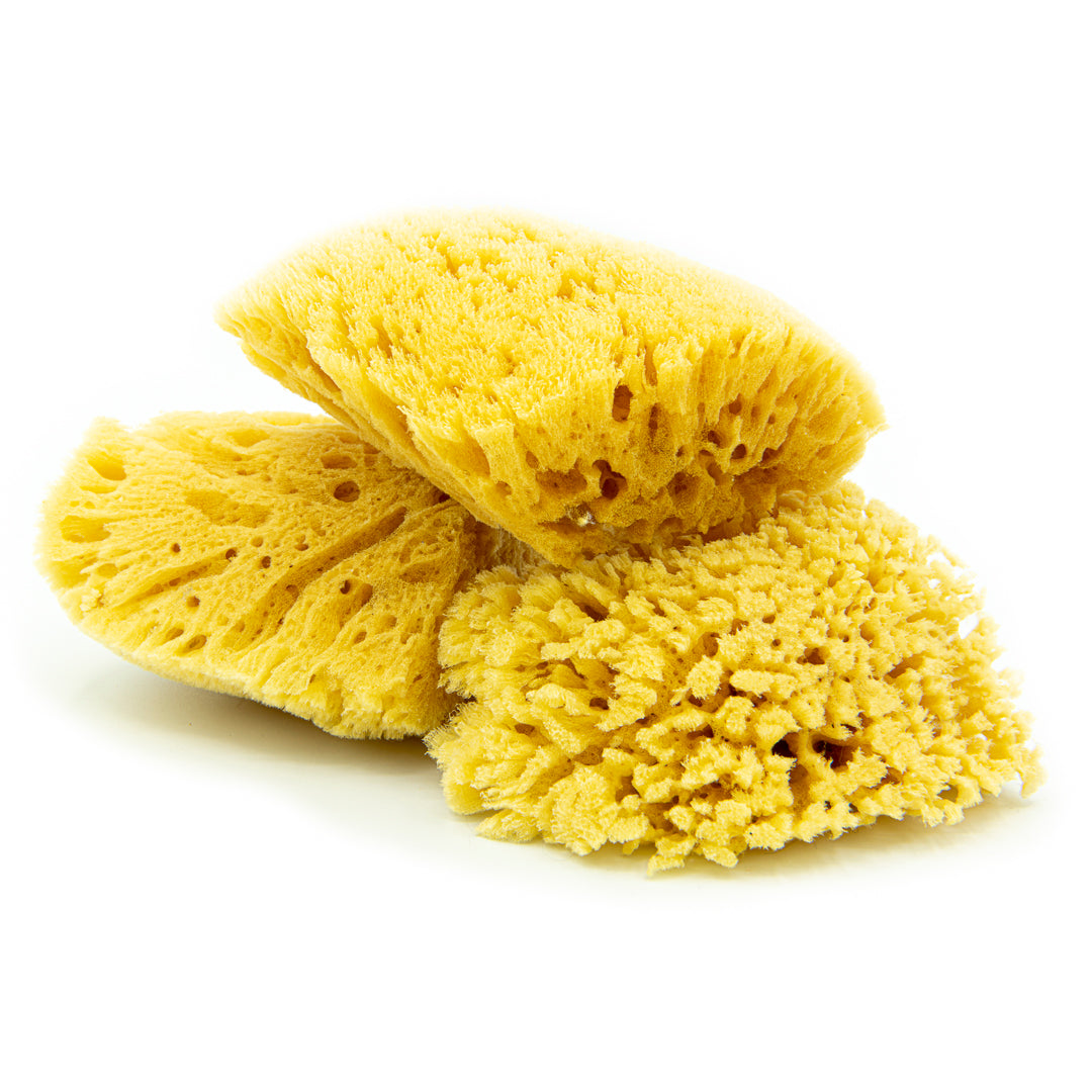 natural sponge