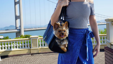 Terrier Carrier (Obsidian Black)