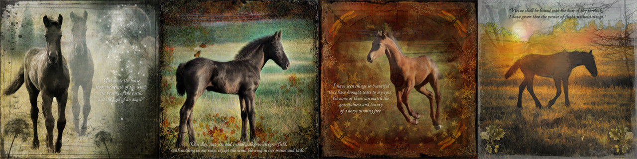 Welcome to Flying Horse Designs, Wall Calendars, Canvas Prints, Horses