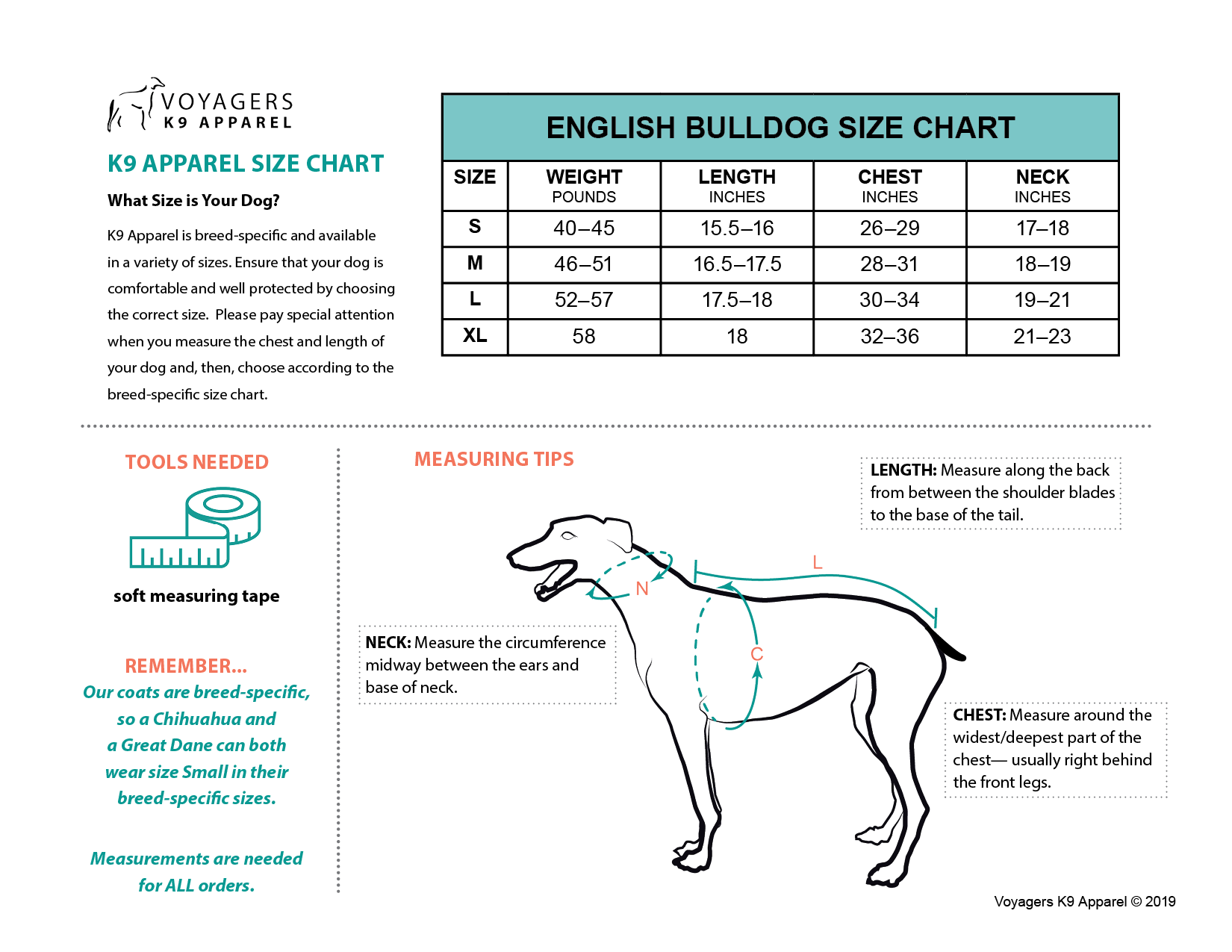 English Bulldog Weight Chart