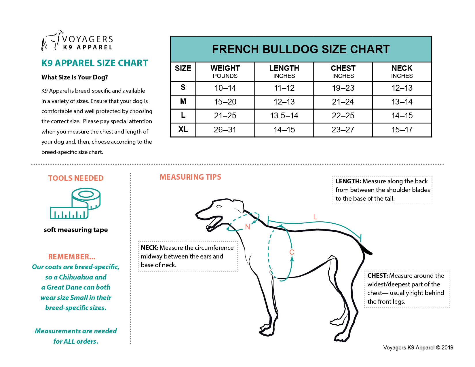 French Bulldog Age Chart