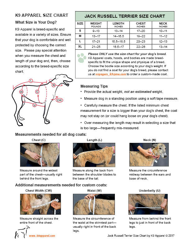 Jack Russell Size Chart