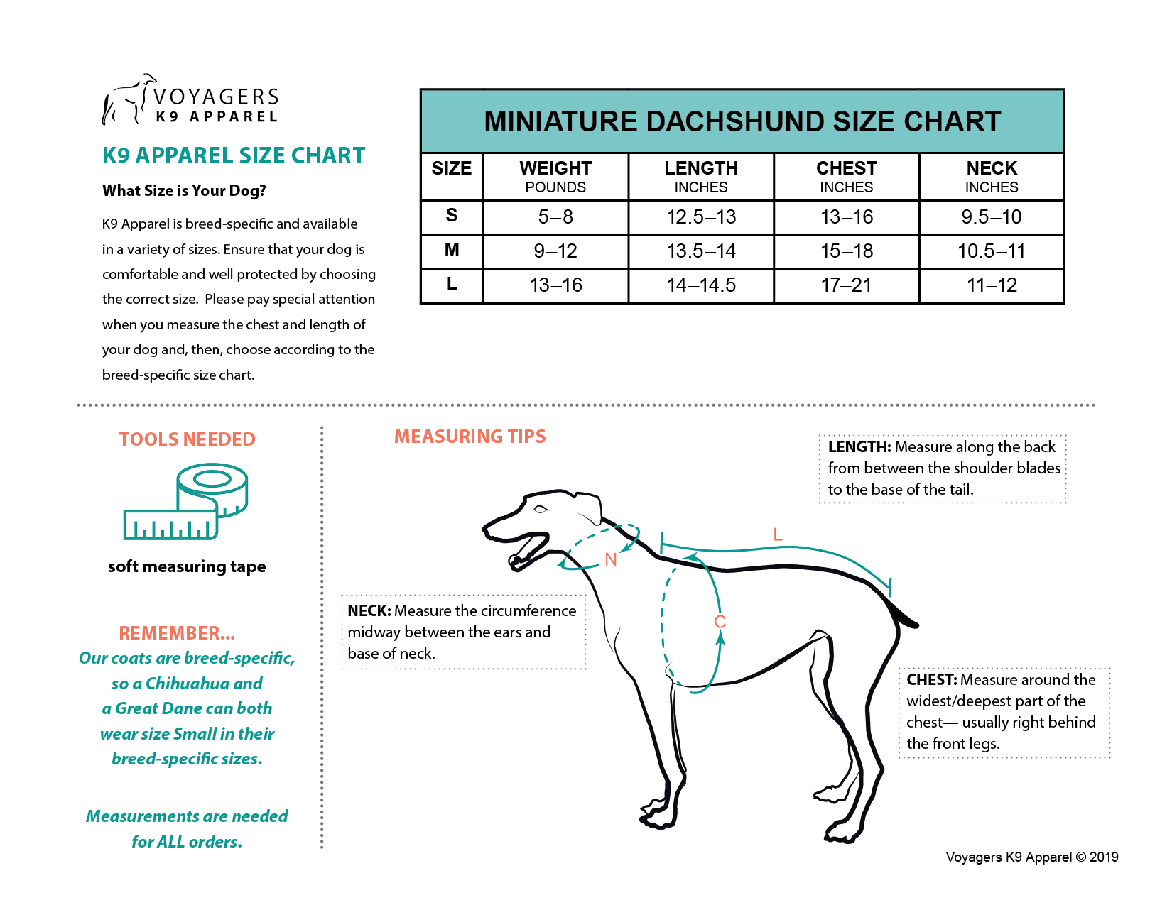 dachshund neck size