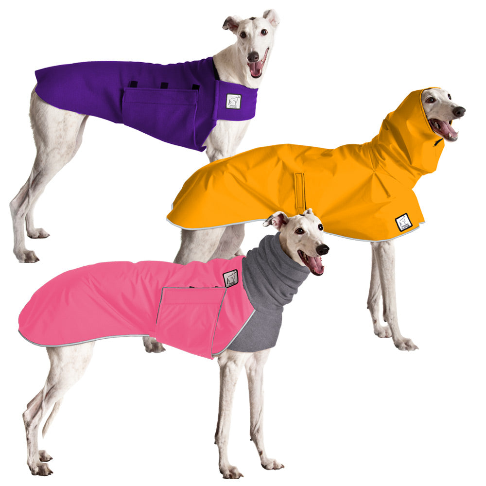 Custom Greyhound Coats | Voyagers K9 Apparel
