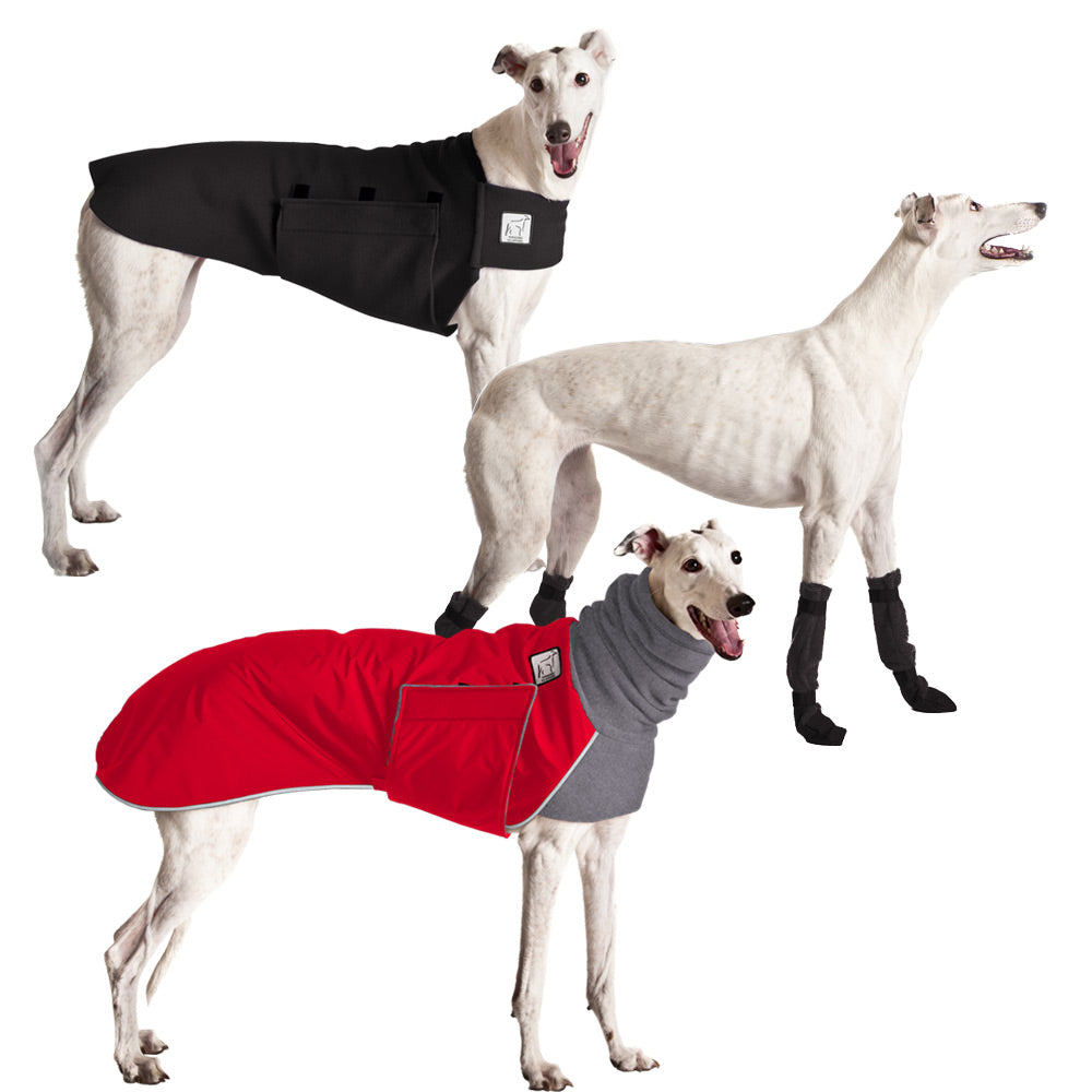 k9 apparel greyhound