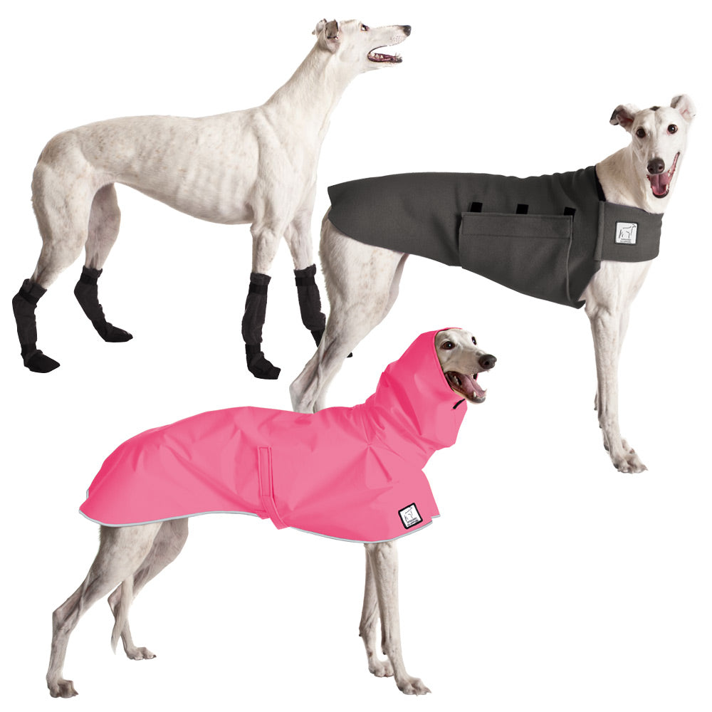 k9 apparel greyhound