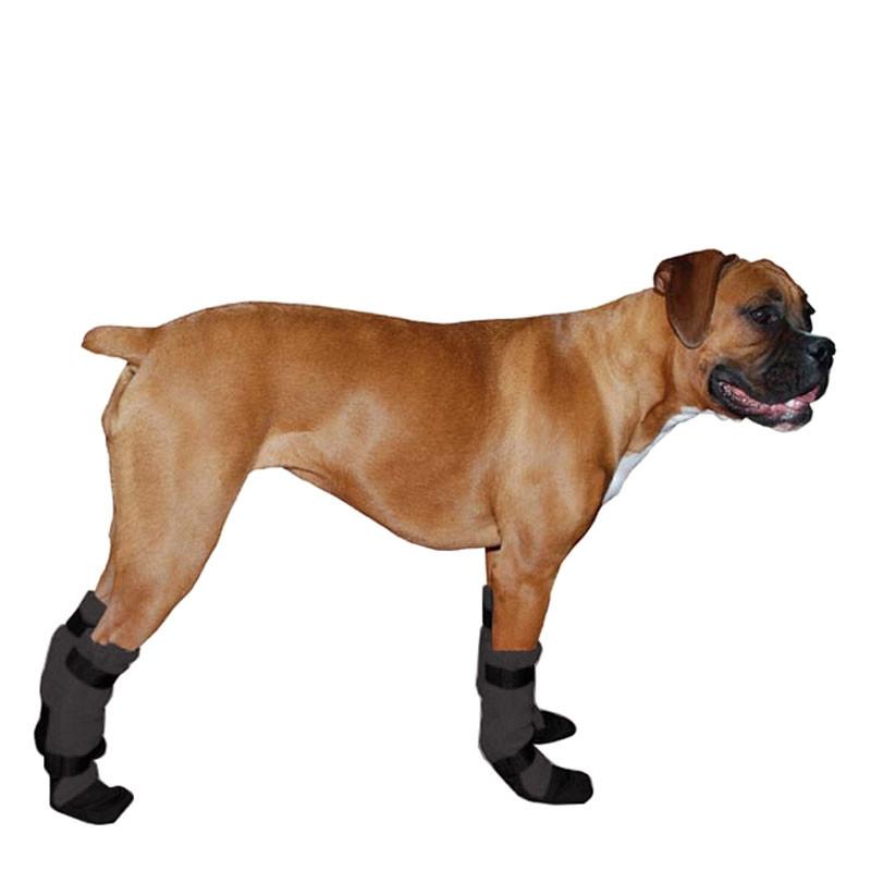 dog booties