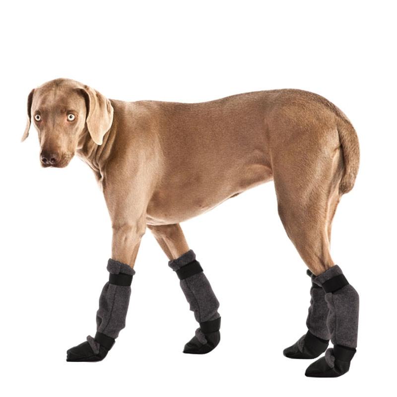 Weimaraner Dog Booties that Stay on Provide Traction and Protection