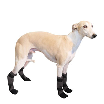 Boots greyhound clearance