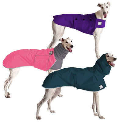 Custom Greyhound Coats | Voyagers K9 Apparel