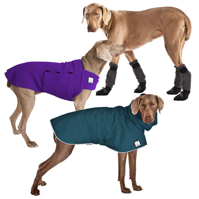 best coat for weimaraner