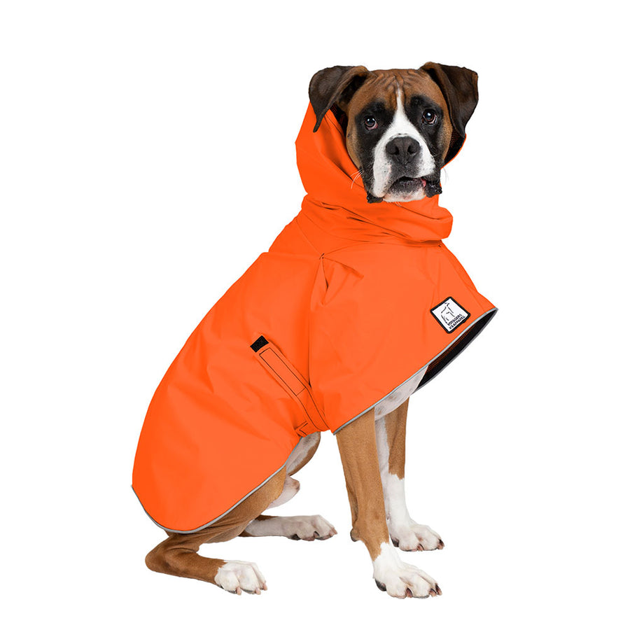 boxer dogs clothing