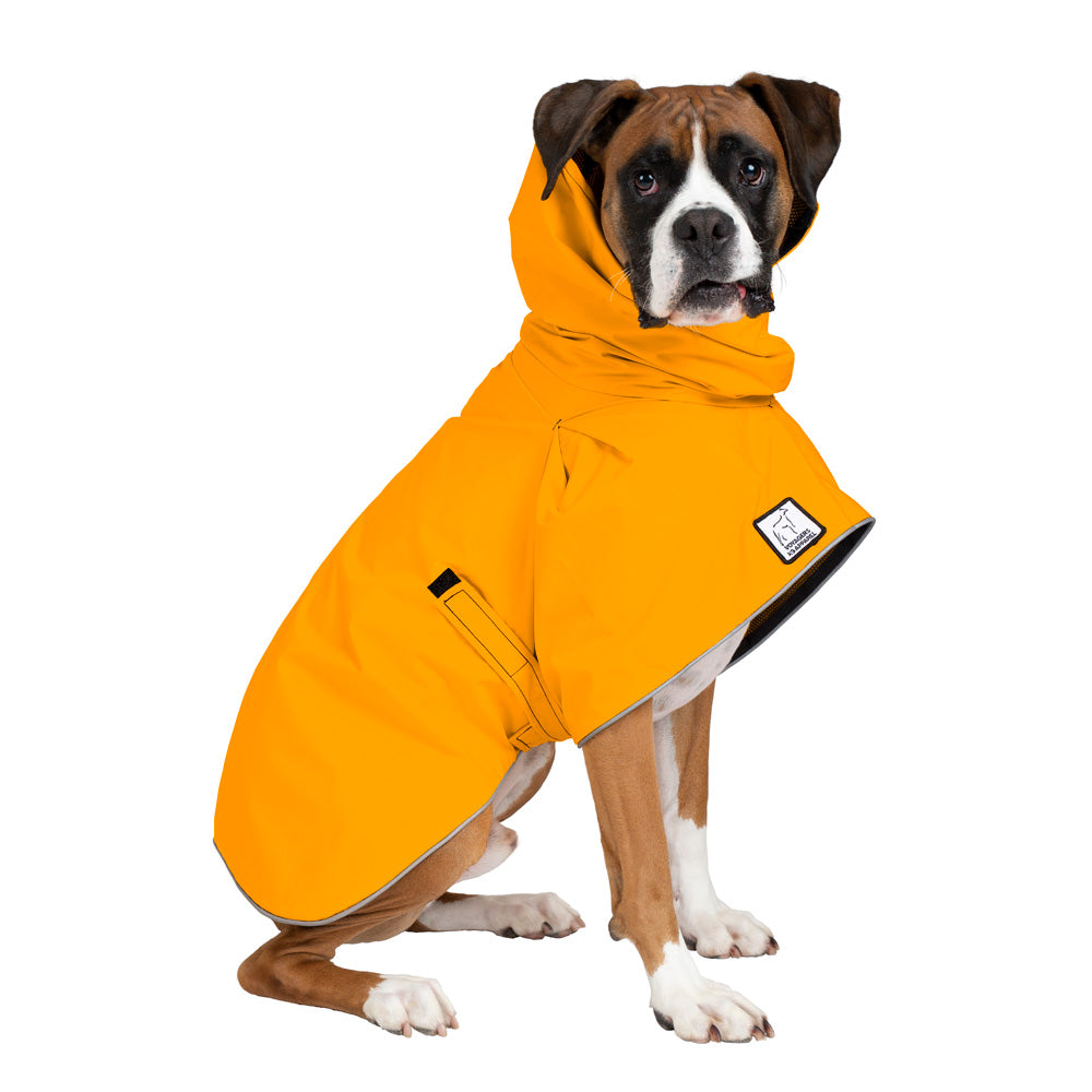 raincoat with dogs on it