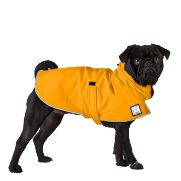 Sizing - Push Pushi Dog Raincoat and Posh Puppy Coat size & fit