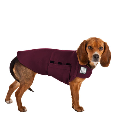 best winter coats for beagles