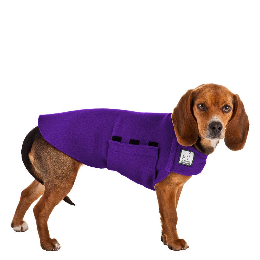 dog sweaters for beagles