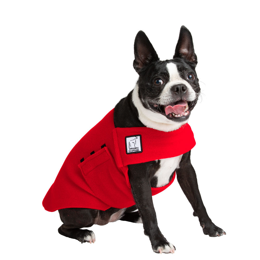 boston terrier winter jacket