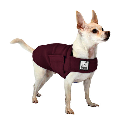 chihuahua jacket