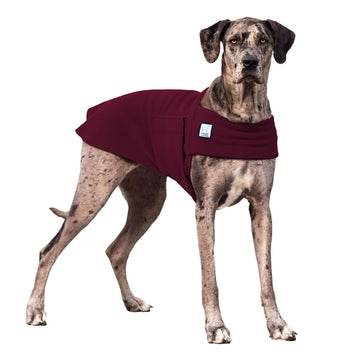 Weimaraner Protective Winter Dog Booties – Voyagers K9 Apparel