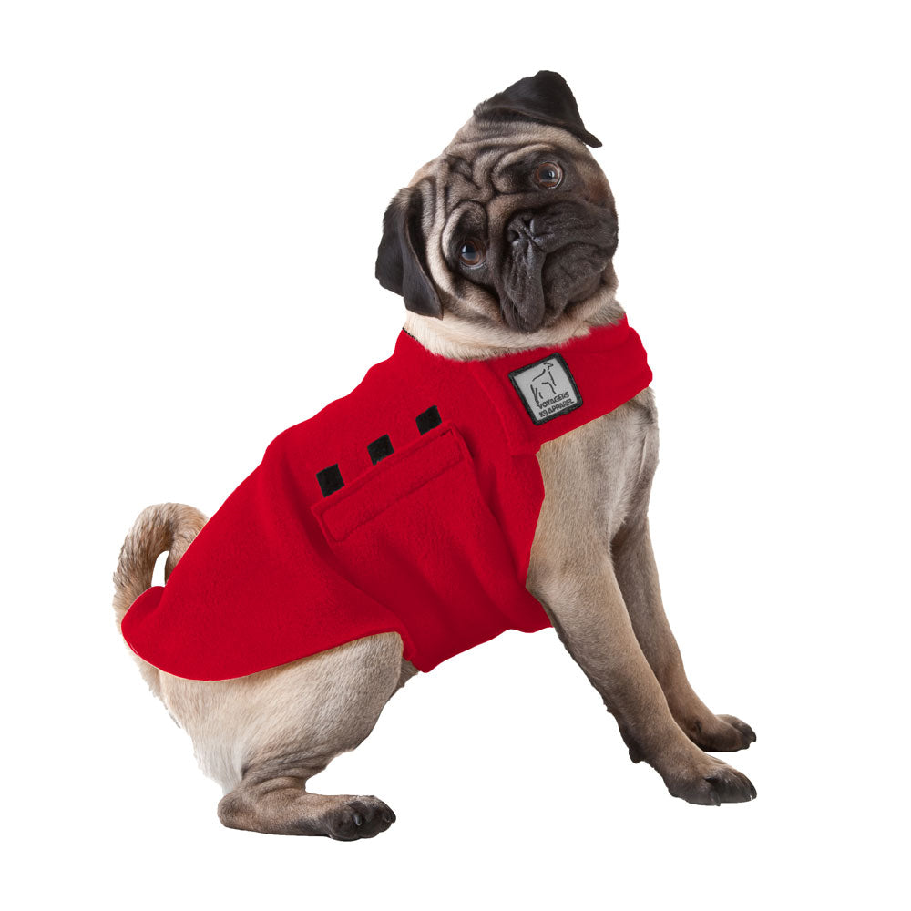 Pug Tummy Warmer Dog Jacket – K9 Apparel