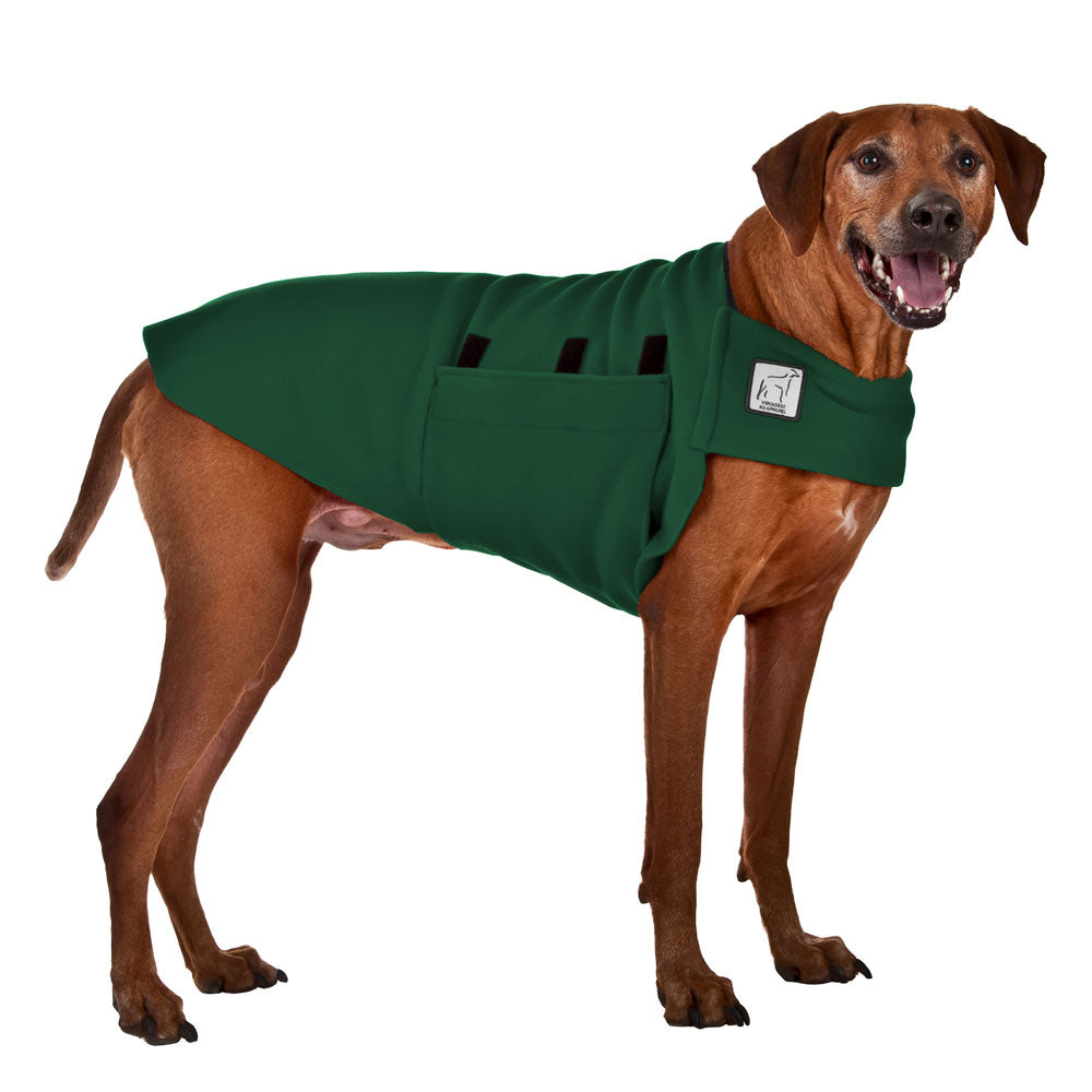 Rhodesian Ridgeback Tummy Warmer Dog Vest– Voyagers K9 Apparel