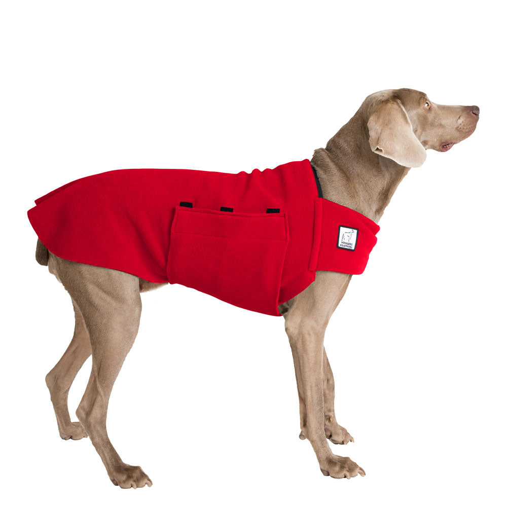 Weimaraner Tummy Warmer Dog Vest- Voyagers K9 Apparel