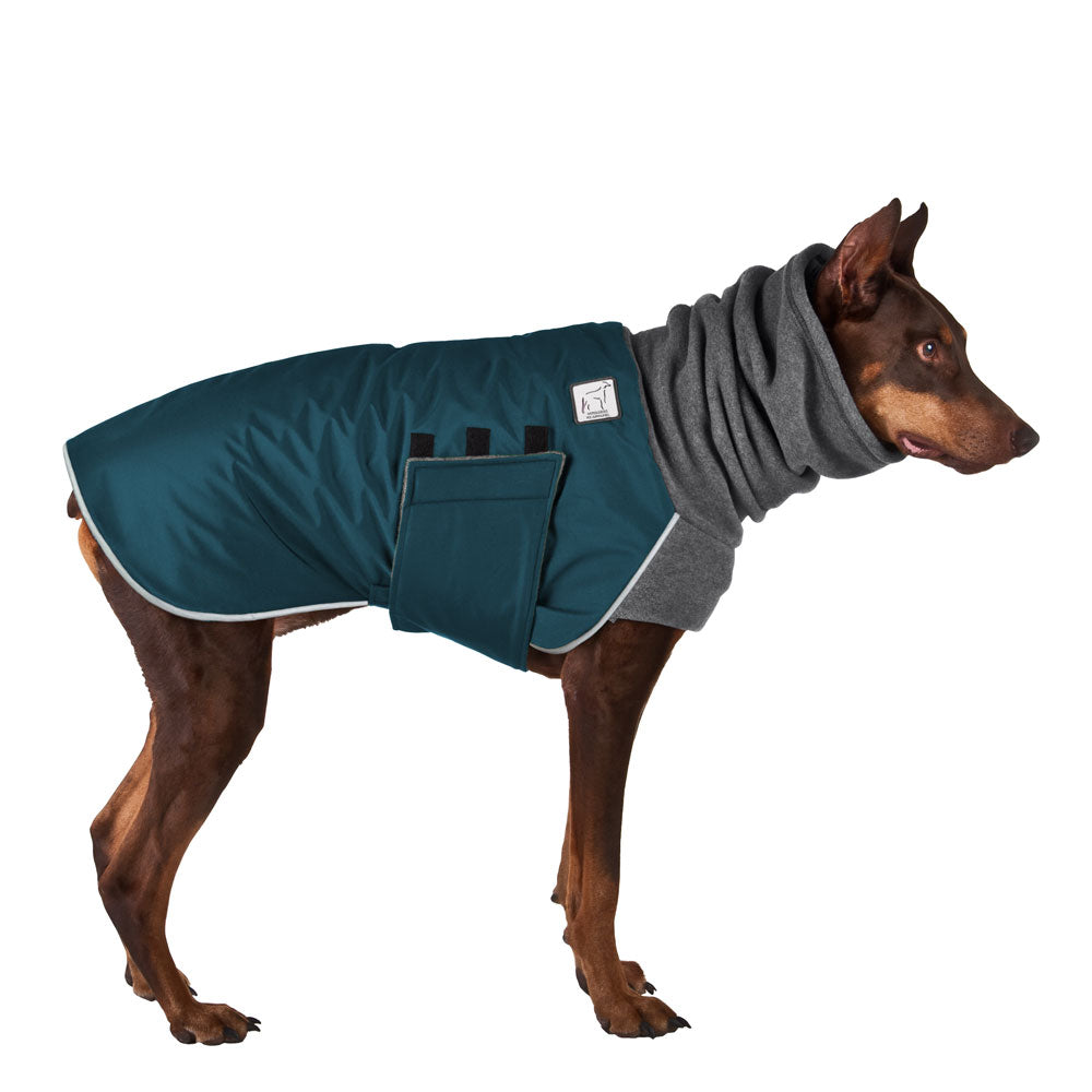 sweaters for doberman pinschers