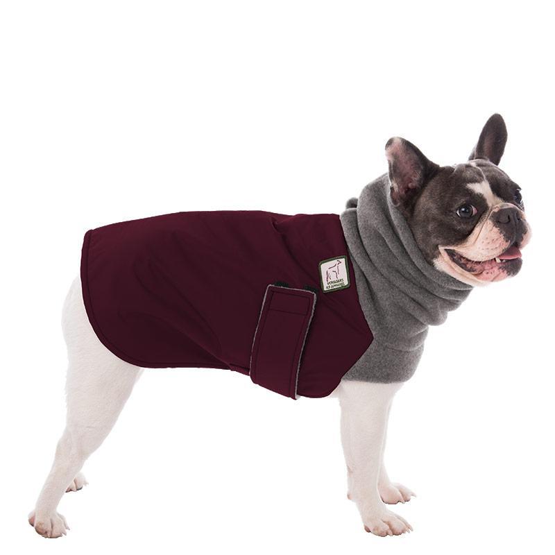 French Bulldog Winter Coat Clearance Sale- Voyagers K9 Apparel