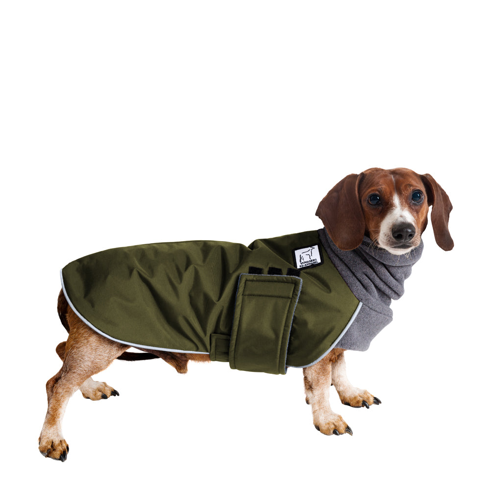 best coats for dachshunds