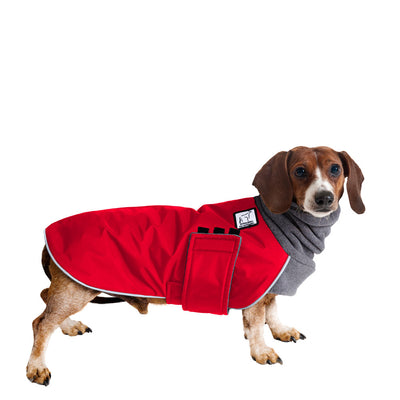 Miniature Dachshund Coats | Voyagers K9 Apparel