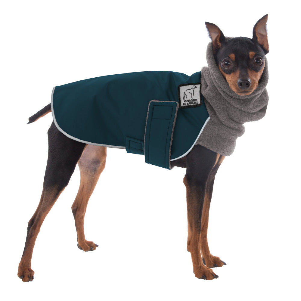 miniature pinscher dog clothes