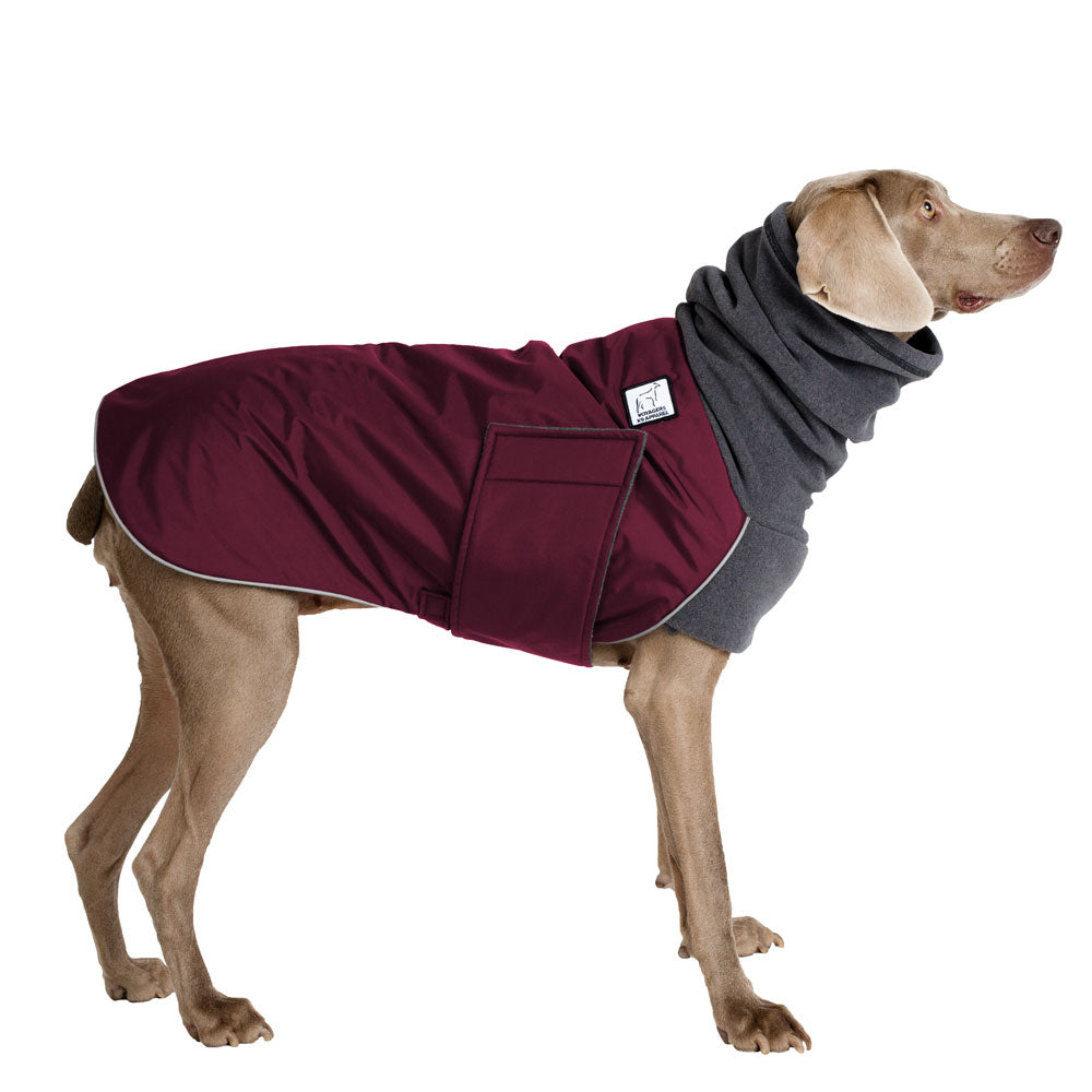 best coat for weimaraner