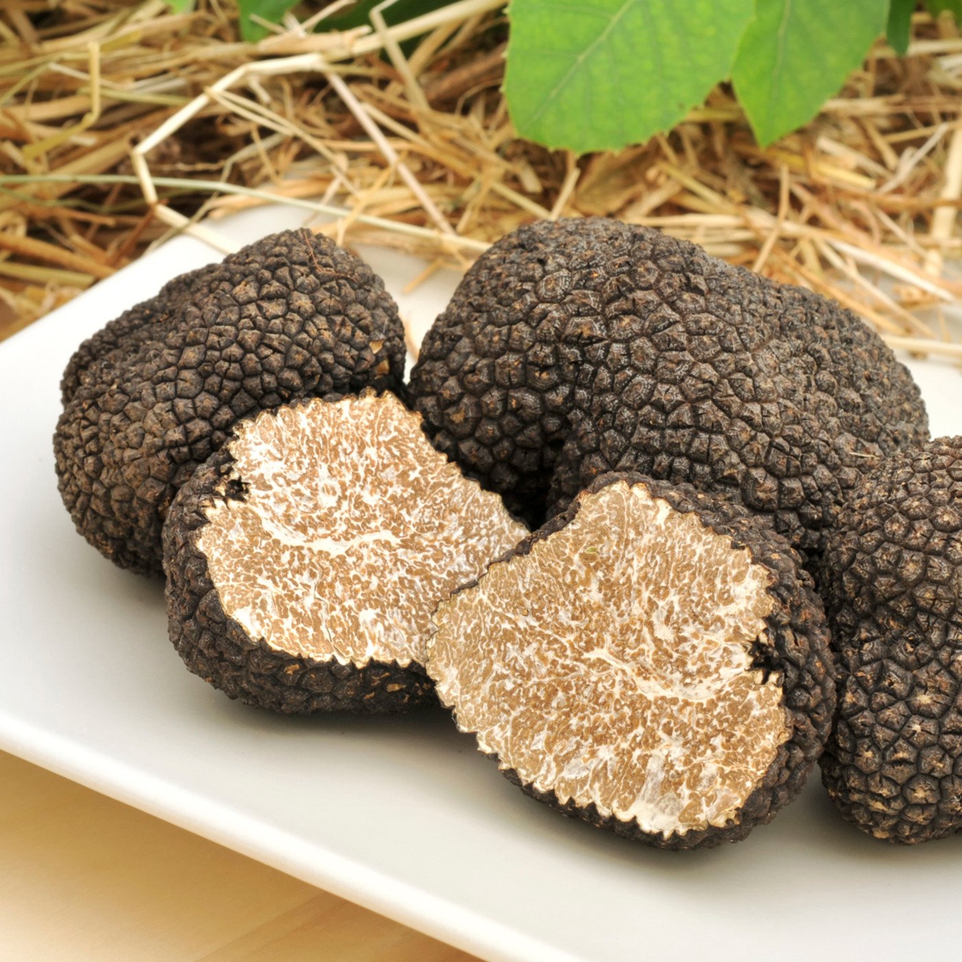 natural-black-truffle-extract-oil-soluble-amoretti