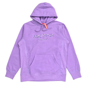 supreme multicolor classic logo hoodie