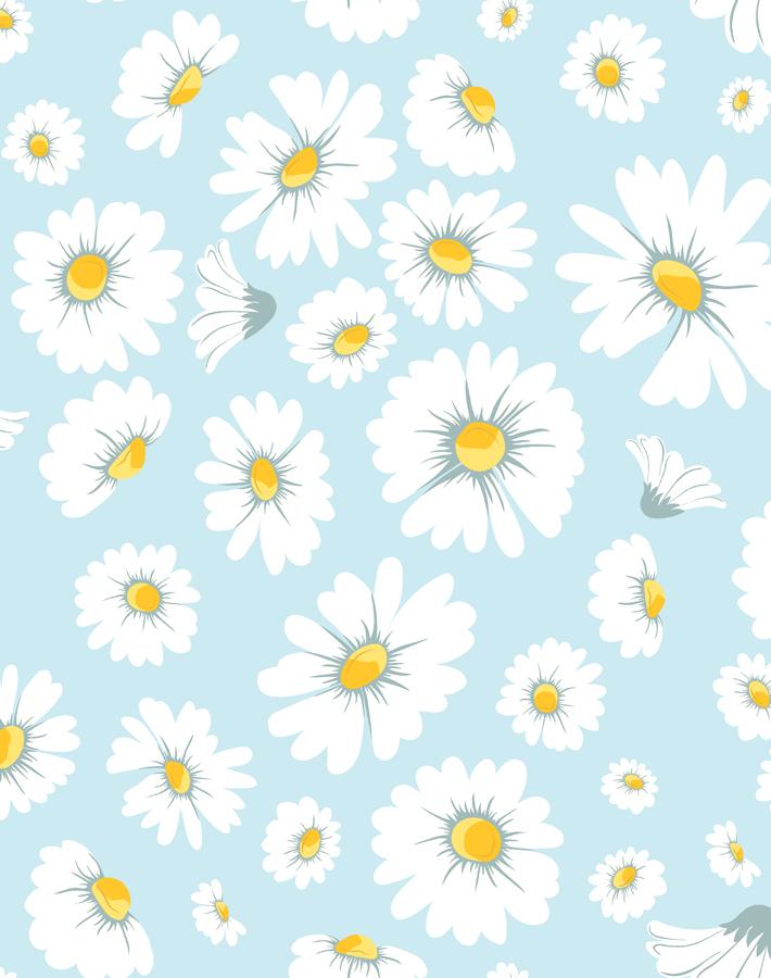 Daisy Bloom Baby Blue Traditional Peel Stick Wallpaper