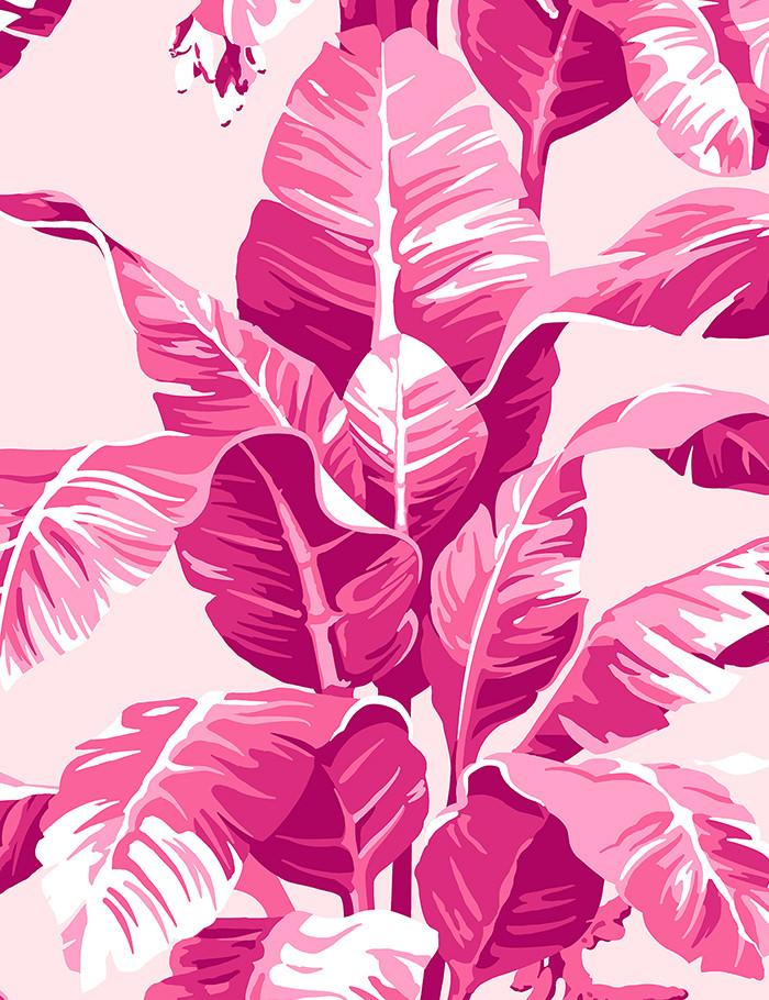 Electric Palm Pink Traditional + Peel & Stick Wallpaper - Wallshoppe