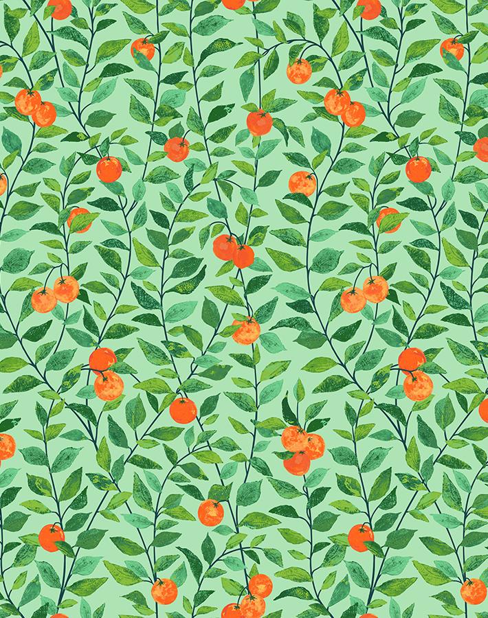 Orange Crush Green Traditional Peel Stick Wallpaper Wallshoppe