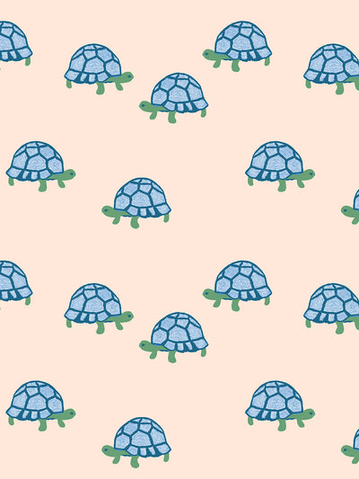 Tortoise Wallpaper for Android - Download | Cafe Bazaar