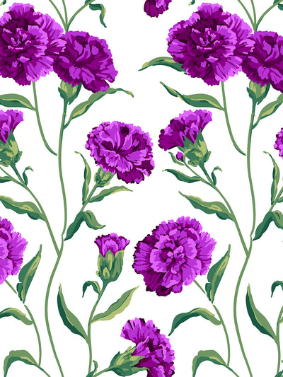 Carnation wallpaper