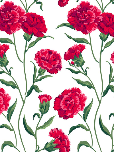 Carnation Garden - 4834 – Scandinavian Wallpaper