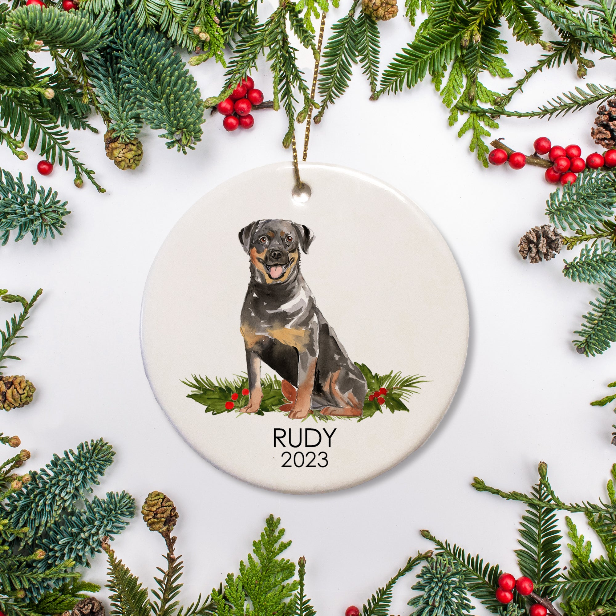 Personalized Puppy's First Christmas Ceramic Ornament, Custom Dog Photo  Ornament, Dog Mom Christmas Gifts - Best Personalized Gifts For Everyone