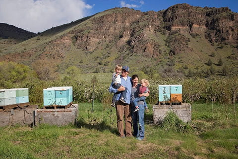 Apricot Apiaries - family beekeeping business
